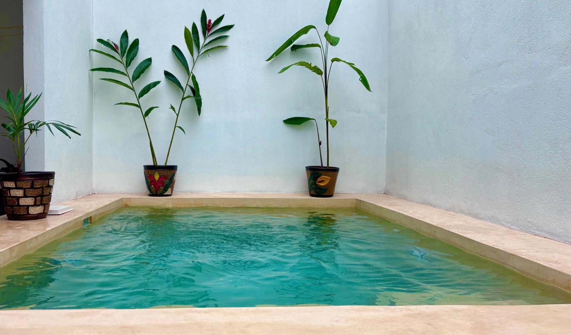 シウダー・バージェス Excelente Alberca Privada En Residencial Privado, Gym, Asadorヴィラ エクステリア 写真