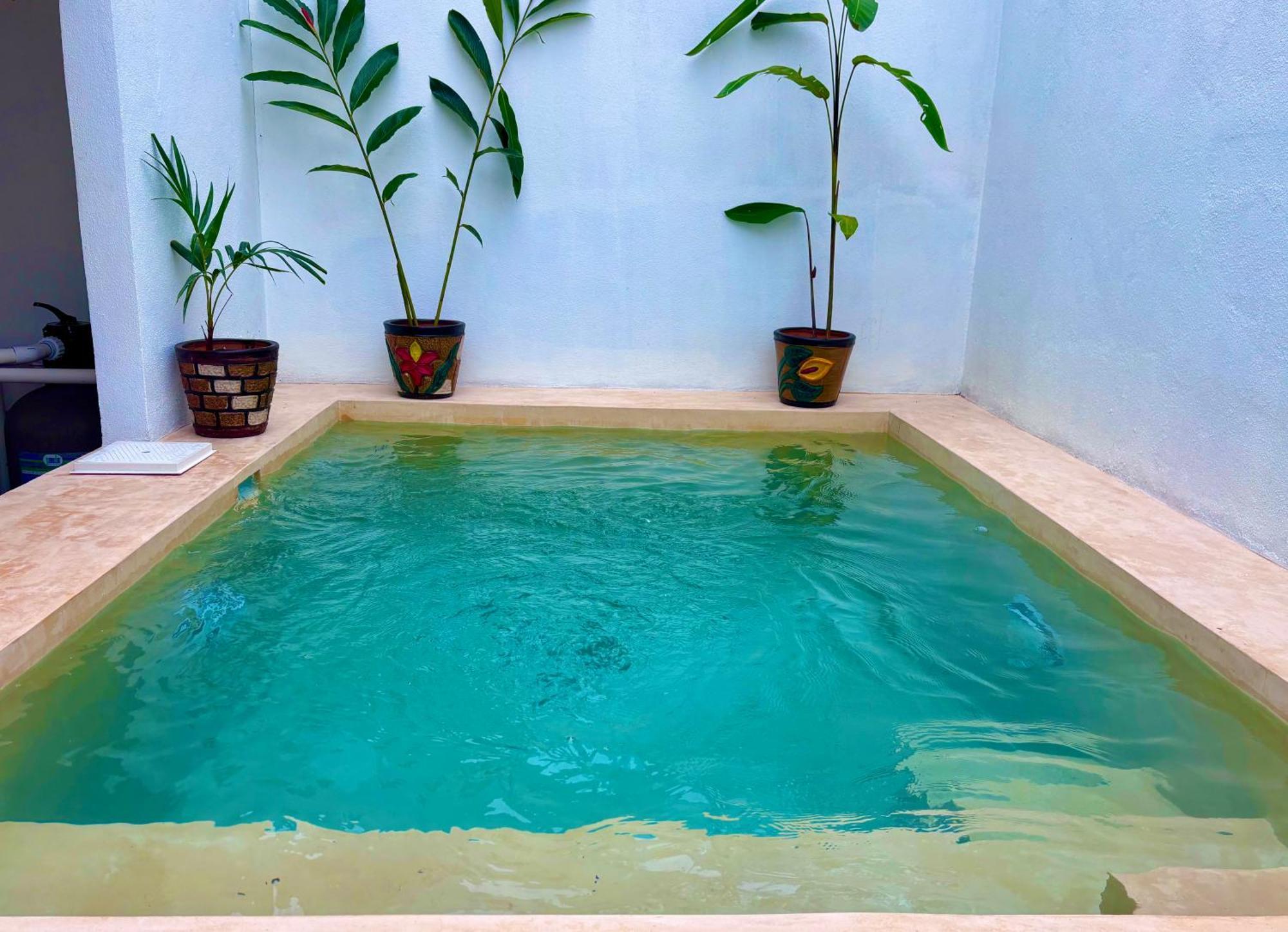 シウダー・バージェス Excelente Alberca Privada En Residencial Privado, Gym, Asadorヴィラ エクステリア 写真