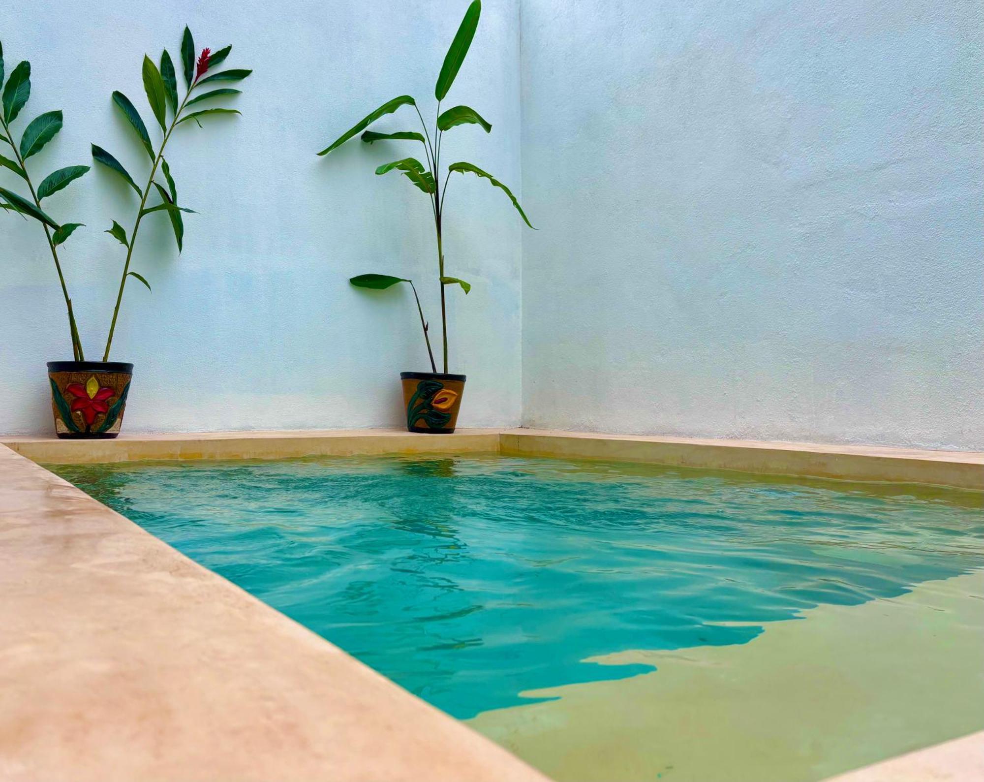 シウダー・バージェス Excelente Alberca Privada En Residencial Privado, Gym, Asadorヴィラ エクステリア 写真
